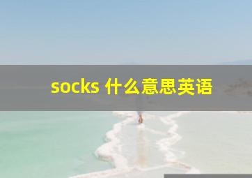 socks 什么意思英语